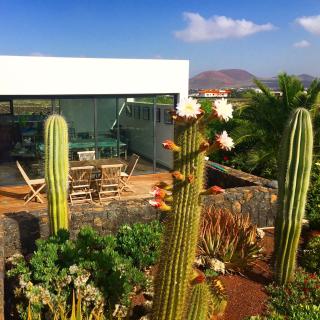 Villa La Laguna - Lajares - 6