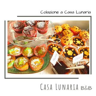 Casa Lunaria B&B - Porto SantʼElpidio - 5