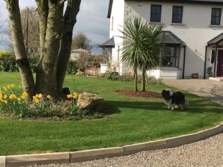Kilbawn Country House - Kilkenny - 8