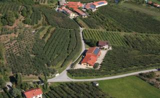 Agrialpi by Salfrutta - Bricherasio - 5