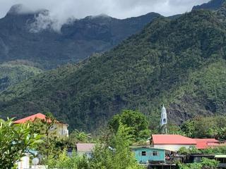 Les Thuyas - Cilaos - 9