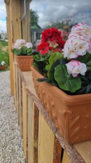 Romantic Jacuzzi Hideaway near Hévíz - Rezi - 7