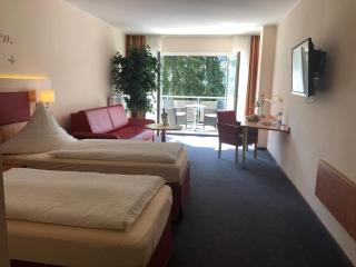 Hotel Häfner - Bad Schonborn - 7