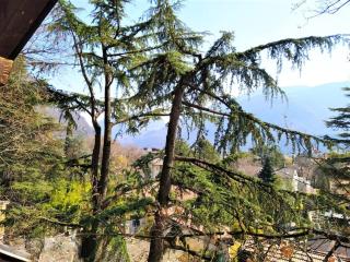 TORRE GARDEN HOME - casa singola nella città di Bolzano con giardino privato - Bozen - 7
