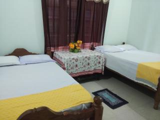 Sili Homestay - 9