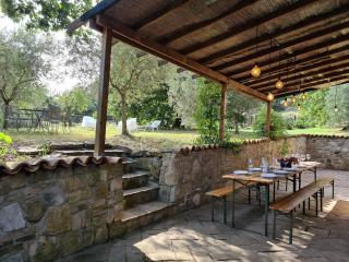 PODERE LA ZINZININA - Villa Intera - 1