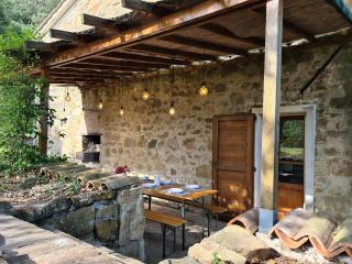 PODERE LA ZINZININA - Villa Intera - Montecatini Val di Cecina - 3