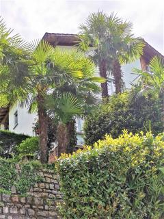 Casa le palme -Montagnola - Collina d'Oro - 8