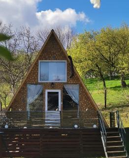Cabana Samira 1 - Tăşnad - 7