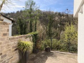 Großzügiges Zimmer mit Terrasse am Rheinsteig - 1