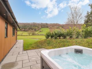 Pool View - Meifod - 9