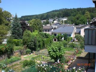 Gîte "les hortensias" au coeur de Lacaune - Lacaune - 1
