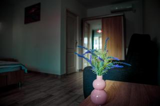 Casa ERICKA - Vama Veche - 5