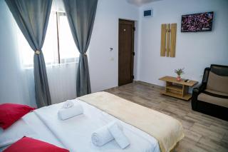 Casa ERICKA - Vama Veche - 3