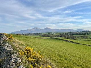 Maggie's Croft Cottages 4 Star Tourism NI - 9