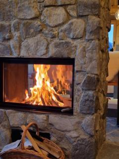 Panorama Berg Chalet - 1