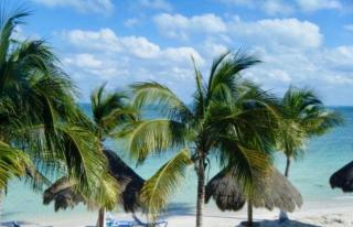 Hacienda del Mar Resort Condominio 205 - 9