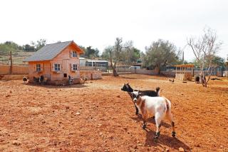 Big Cozy Luxury Pool Villa with childrens Zoo - Tunes - 1