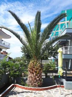 Fanari summer house 2 floors - 5