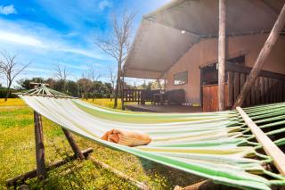 Glamping and Mobile Homes Lavanda - Holiday Centre Bi VIllage - Fažana - 4