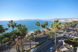STUDETTE DERRIERE HOTEL MARTINEZ - Cannes - 3