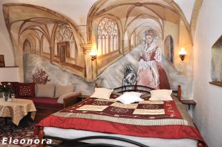 Pension Krasne Udoli - Cesky Krumlov - 7