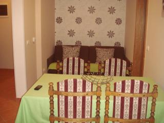 Apartman Green 4/1 - Novigrad - 6