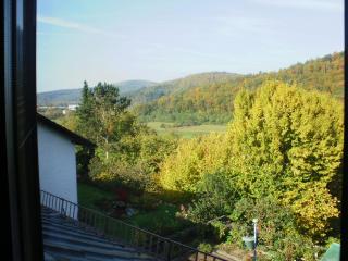 Haus Schipper am Wald - Gemünden - 2