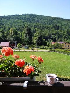 Groń pokoje w centrum - 5