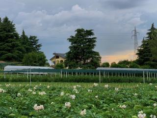 B&B Alla Roggetta - 1