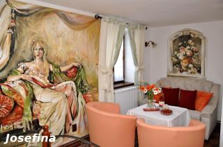 Pension Krasne Udoli - Cesky Krumlov - 8