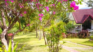 Lemongarden - Koh Lanta - 6
