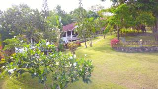 Lemongarden - Koh Lanta - 1