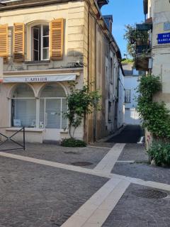 Le murier ensoleillé - 8