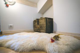 Little prince - Your Holiday home on Cres - Cres - 7