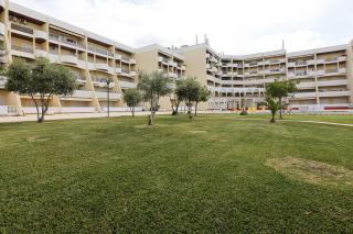 Apartamento Palmeira Gale - Beach - Pool - BY BEDZY - 4