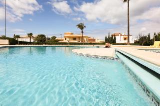 Palmeira Gale - WIFI - Pool - Lux - BY BEDZY - 1