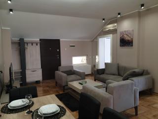 Apartman Stojanović - Arandjelovac - 8