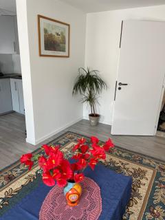 Maison neuve chaleureuse pour 1 à 4 personnes - Schiltigheim - 2
