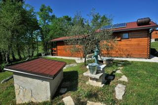 Robinson House Istra Vižinada Poreč - Vižinada - 7
