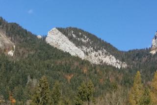 Le Chartreux de Saint Pierre de Chartreuse - 2