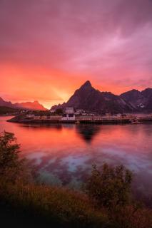 Sakrisøy Rorbuer - Reine - 8