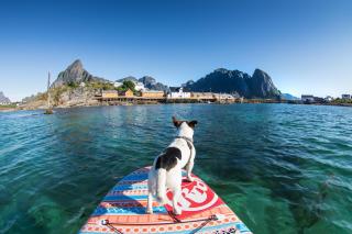 Sakrisøy Rorbuer - Reine - 3