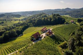 Ferienwohnung Weingut Birnstingl - Gamlitz - 9
