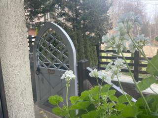 The Nest - Sinaia - 6