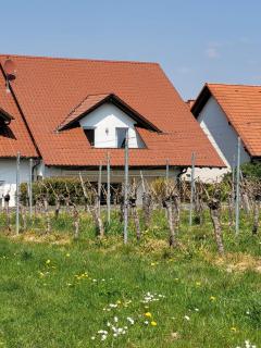 Ferienhaus Vongerichten - Oberhausen - 0