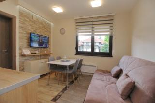 Natali Apartman - Zlatibor - 6