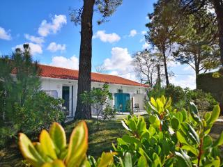 Vent d'Eden Park Hôtel - Saint-Hilaire-de-Riez - 8