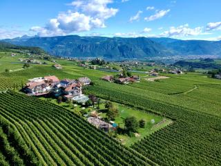 DAS MATSCHER Residence & Garden Hotel - Appiano sulla Strada del Vino - 8
