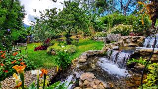 The Residence by Villa Alejandro - Boquete - 7
